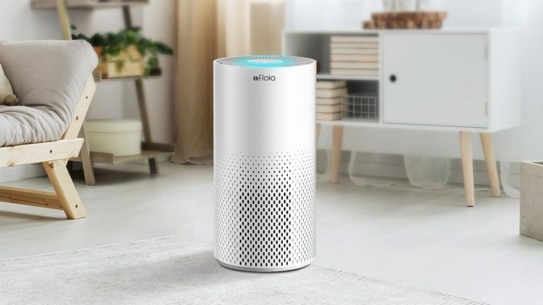 Top 10 Best Air Purifiers 2024