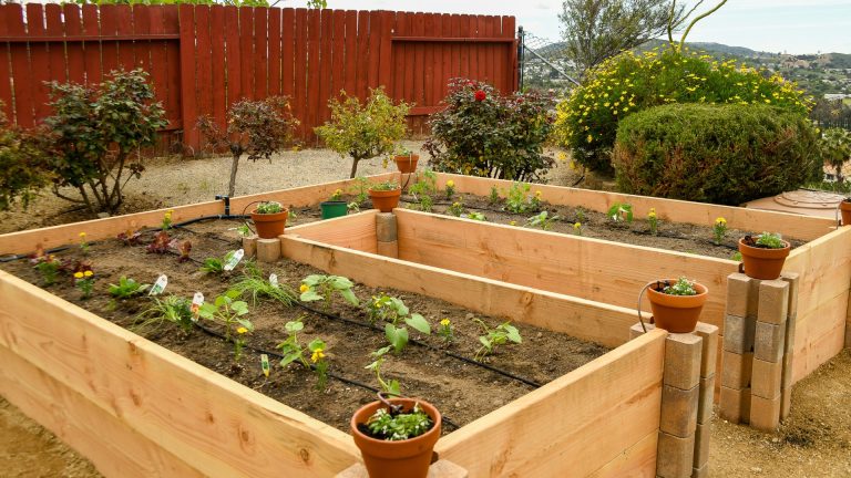 Top 10 Best Raised Garden Beds 2024