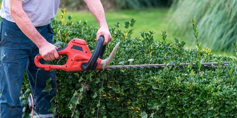 Top 10 Best Hedge Trimmers 2024