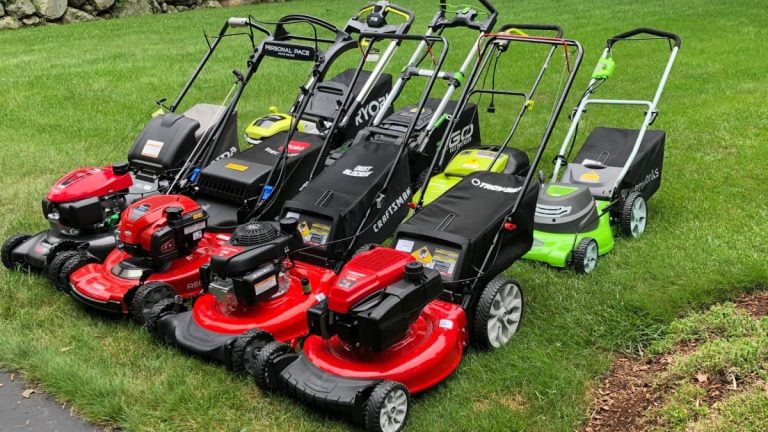 Top 10 Best Lawn Mowers 2024