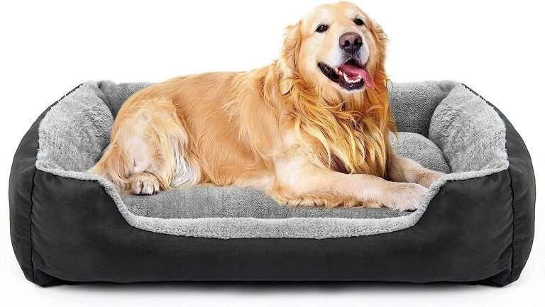 Top 10 Best Dog Beds 2024