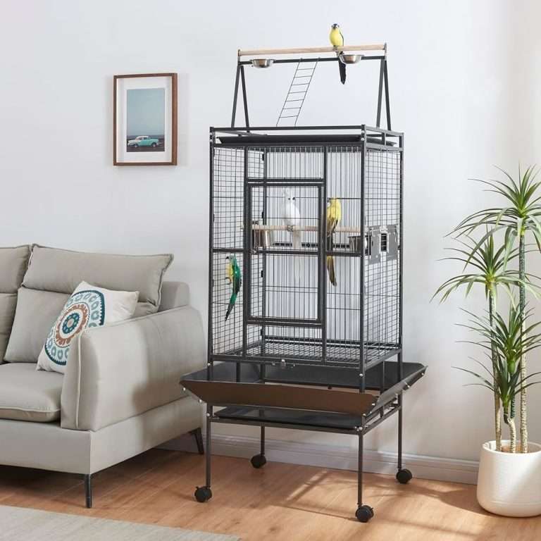 Top 10 Best Bird Cages 2024