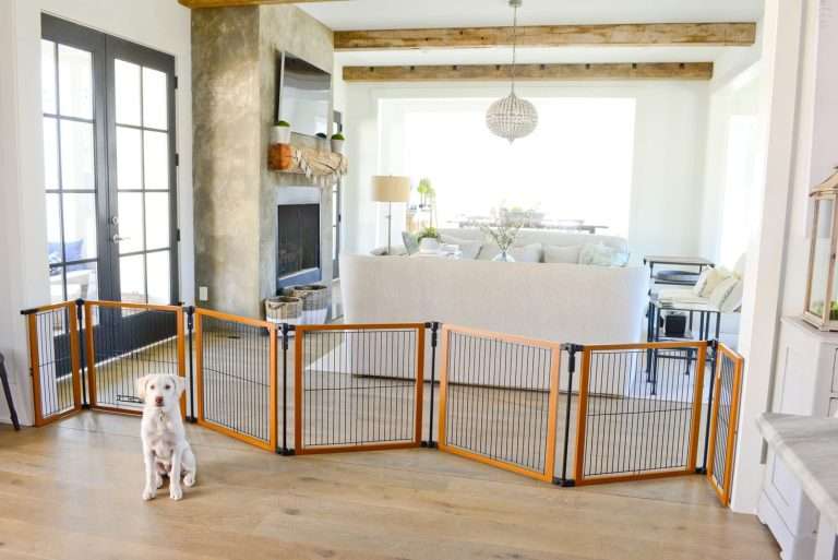 Top 10 Best Dog Gates 2024