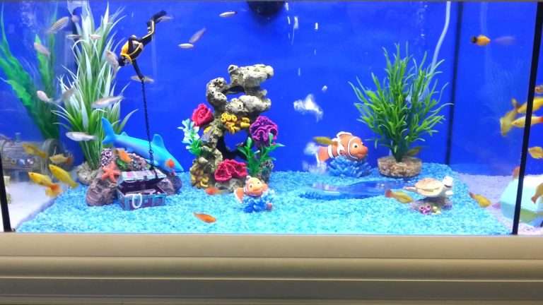 Top 10 Best Fish Tanks 2024