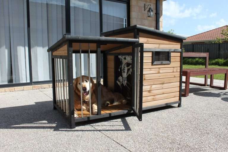 Top 10 Best Dog Kennels 2024