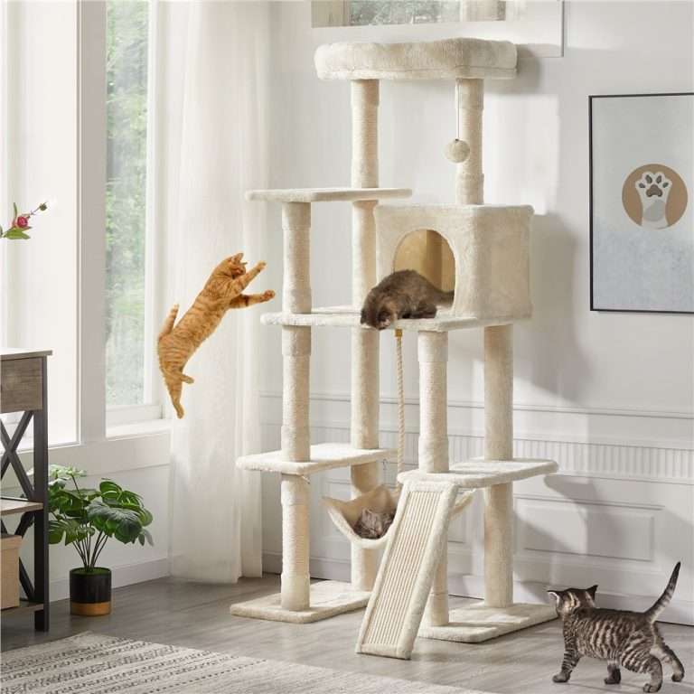 Top 10 Best Cat Trees 2024