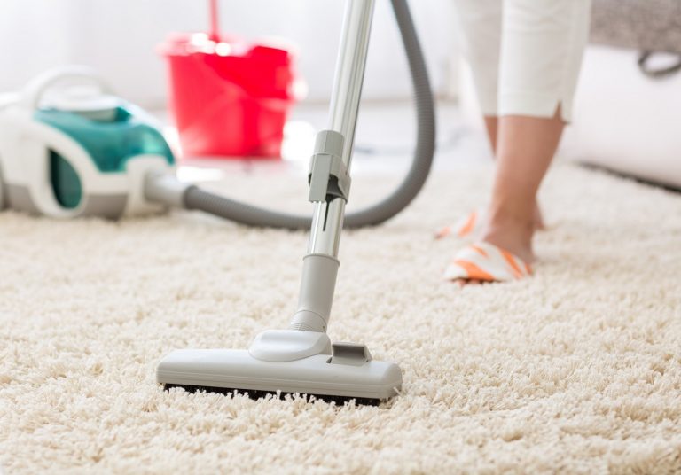 Top 10 Best Carpet Cleaners 2024