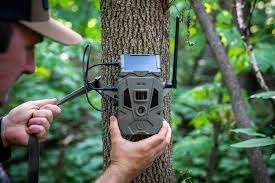 Top 10 Best Trail Cameras 2024