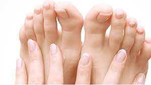 Top 10 Best Toe Fungus Treatments 2024