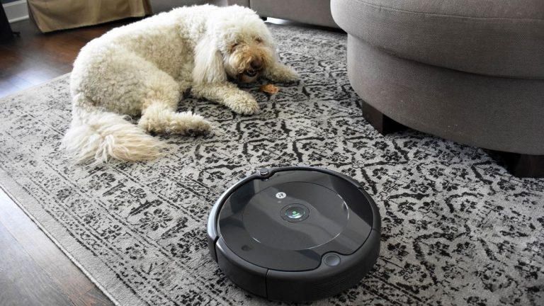 Top 10 Best Robot Vacuum and Mops for Pets 2024